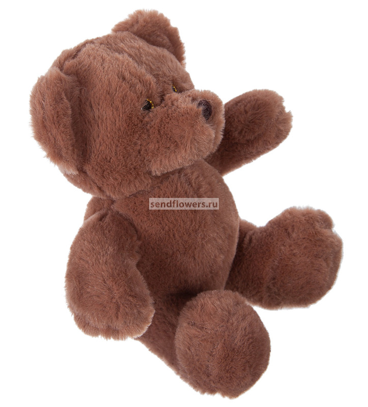 little bear plush