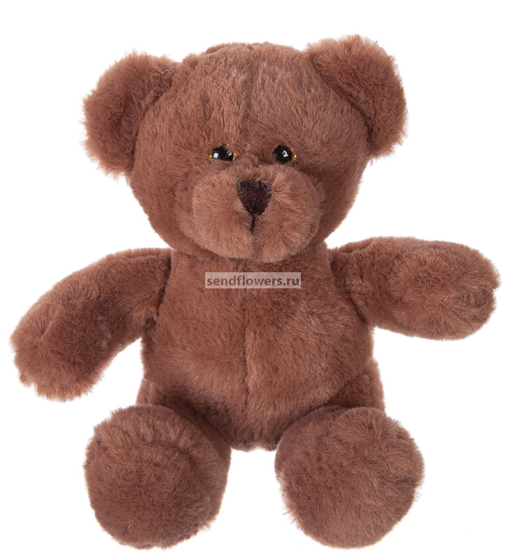 little bear plush