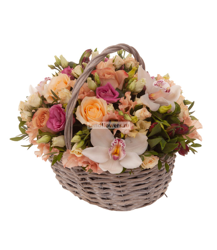 Порно кастинг ресейлік ағашшы Әйел ұрығы туралы бейнені қараңыз