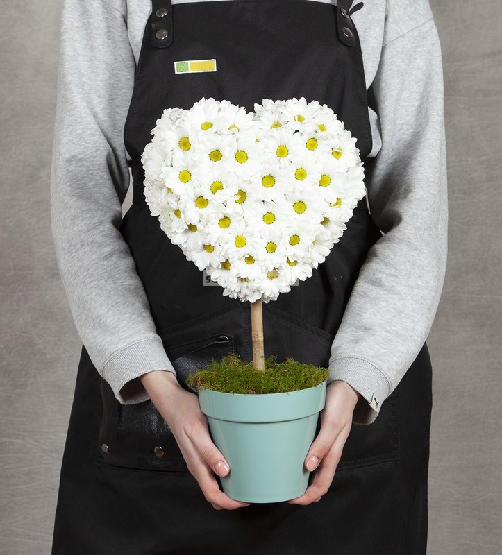 teddy bear shaped floral foam