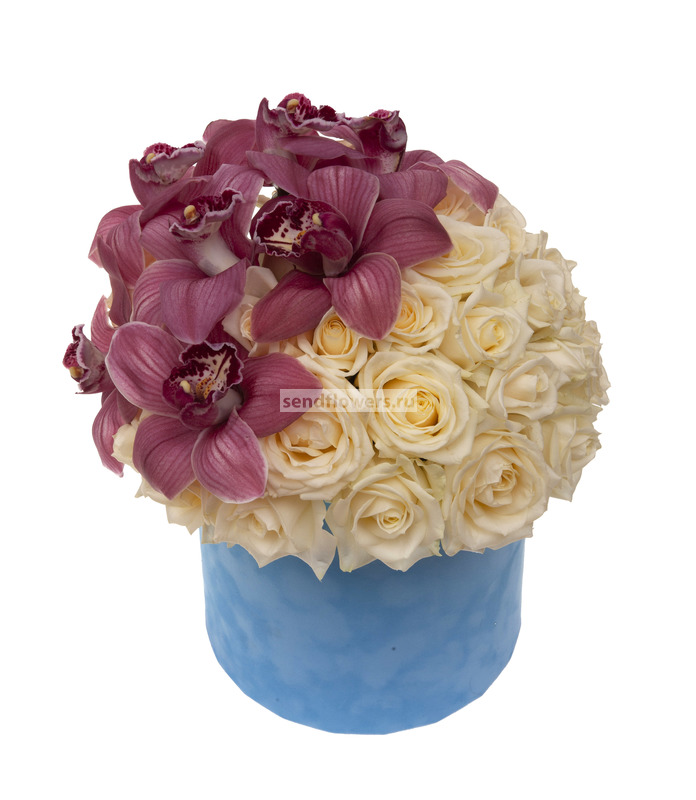 Азиялық лесбиянкалармен порнофотосуреттер Жетілген әйелдердің фотолары мен бейнелері