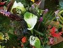 Luxury" был присужден Мирозокариму Норбекову  особый шарм празднику придавали цветы от  "AMF - международная сеть доставки цветов"...