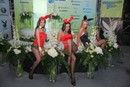 Награждение - девушка года журнала Playboy
