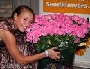 специально для розового бала -  сотни розовых роз от AMF