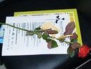 роза стала символом коллекции, поэтому всем  гостям праздника дарились красные розы