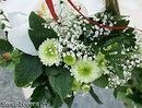 основными цветами оформления стали белый...