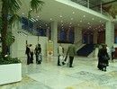 перед концертом гости общались...