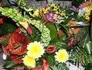 ...впереди их ждало еще много  приятных сюрпризов