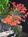 "Гид по стилю"- стильный  праздник журнала "Men's Health"...