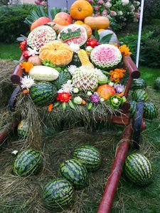 Мастер-класс в Новых Вешках