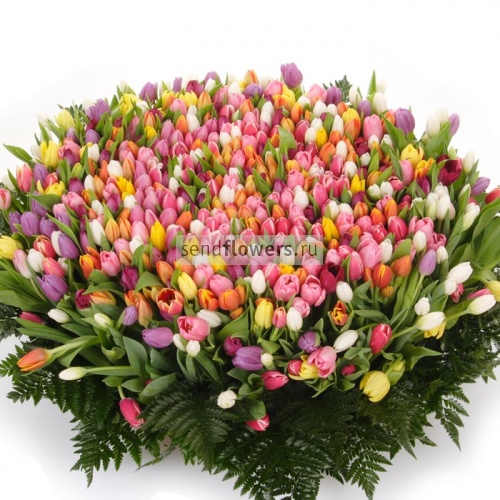 http://www.sendflowers.ru/images/flowers/sendflowers2/small/500x570x0x0x95x1_f93004eff897ef494bba621dd6641b07.jpg